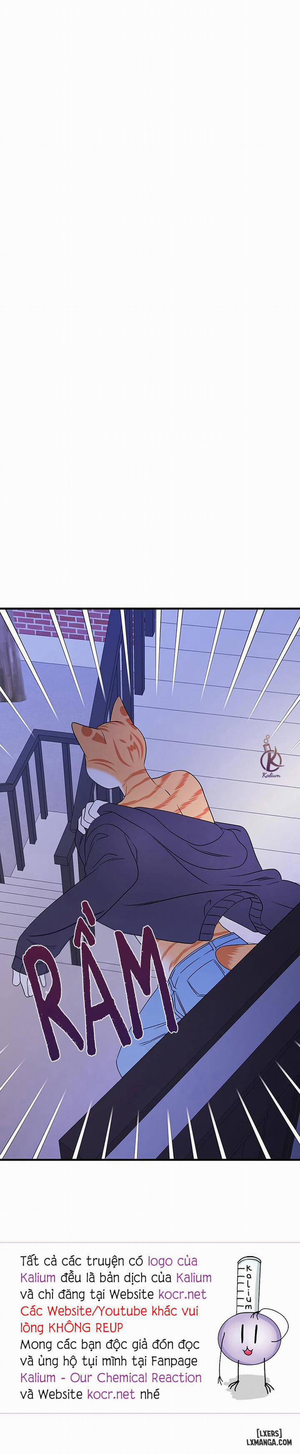 Dự án xanh 16 trang 30