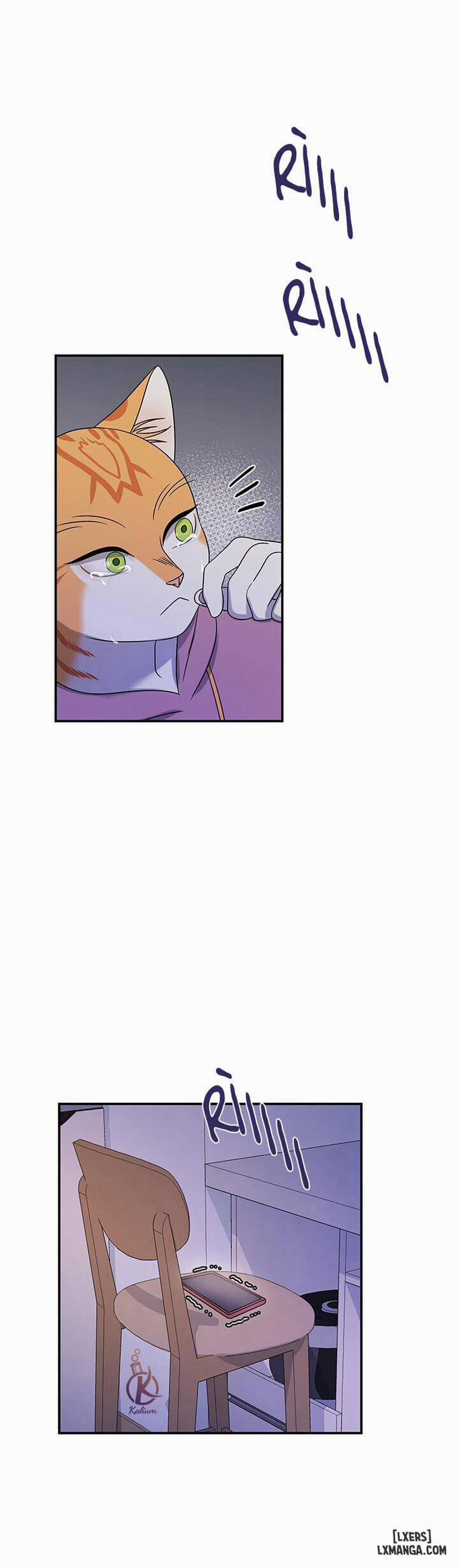 Dự án xanh 16 trang 5