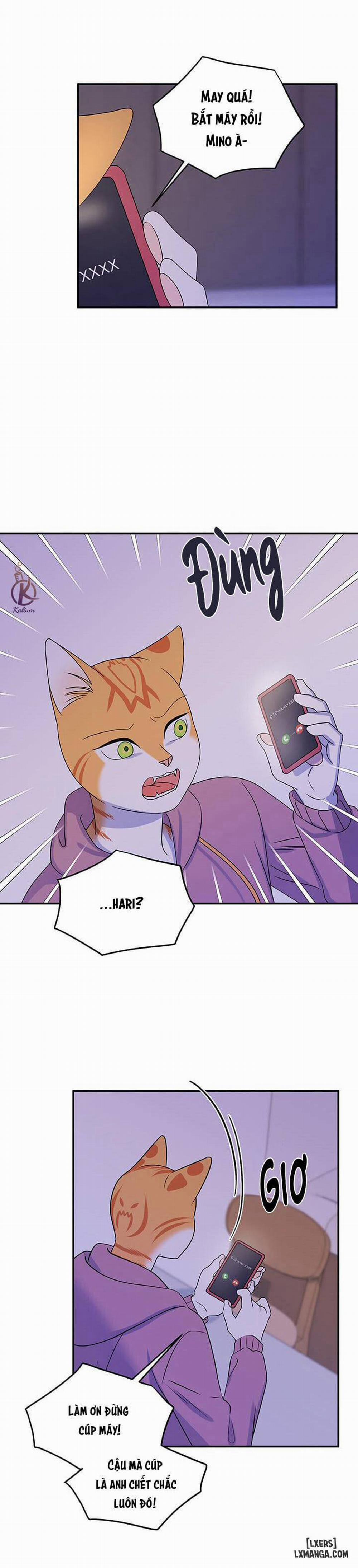 Dự án xanh 16 trang 7