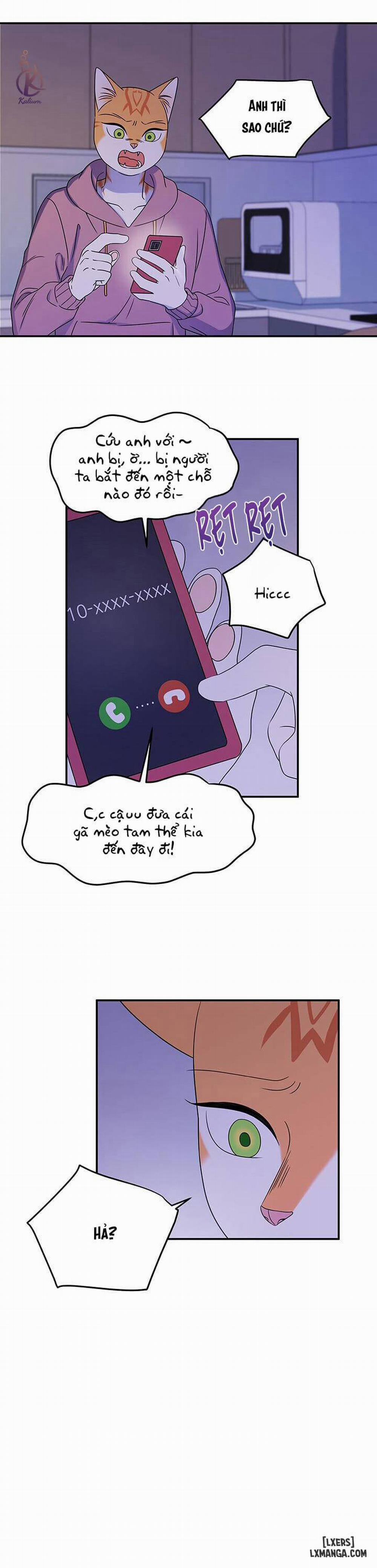 Dự án xanh 16 trang 8