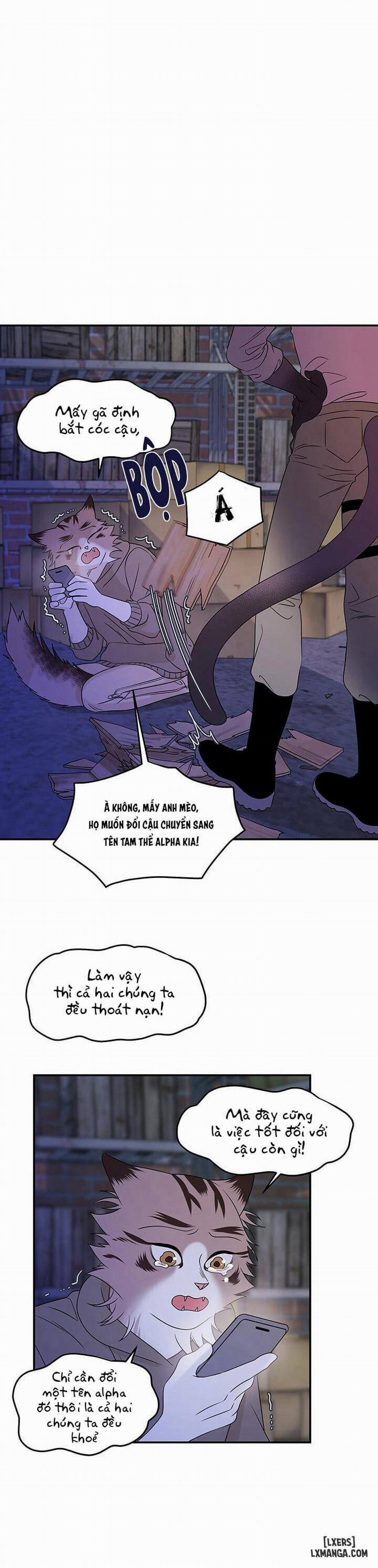 Dự án xanh 16 trang 9