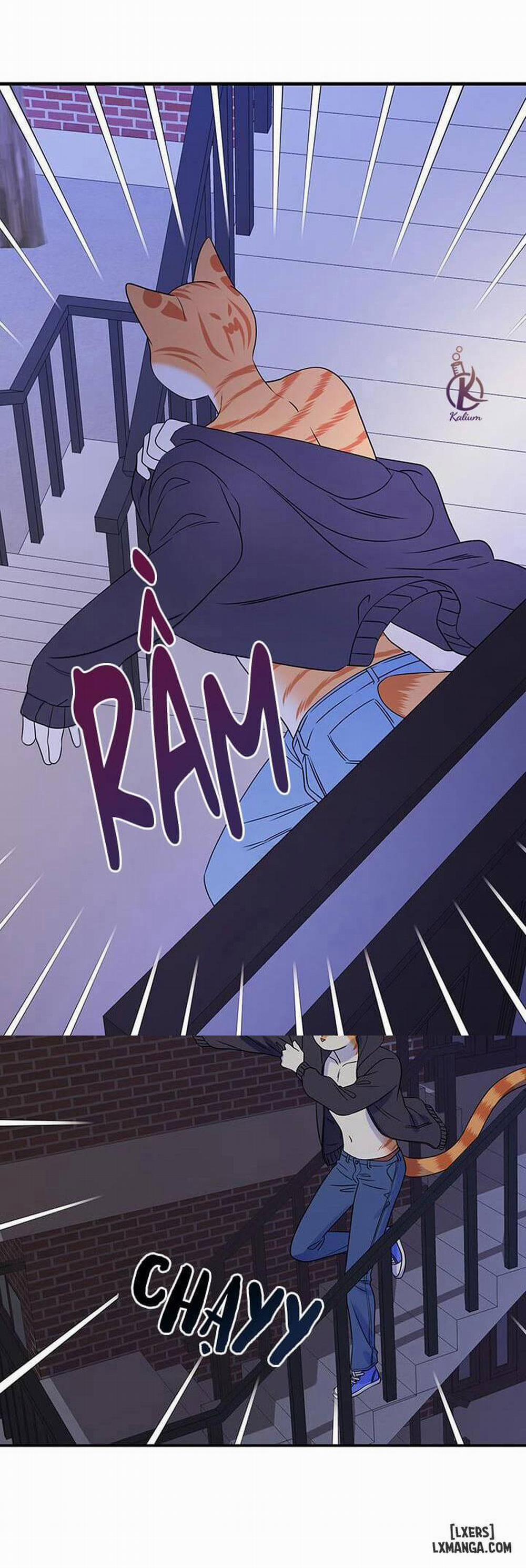 Dự án xanh 17 trang 1