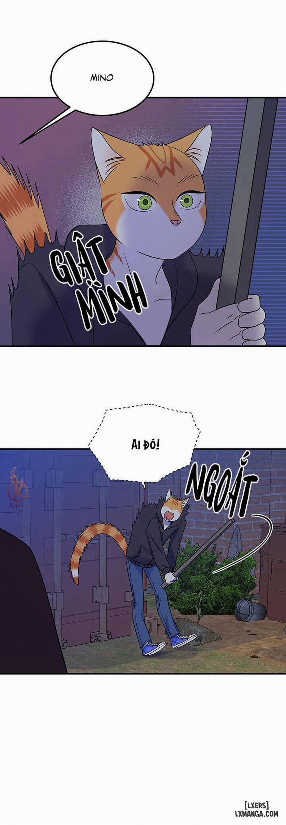 Dự án xanh 17 trang 10