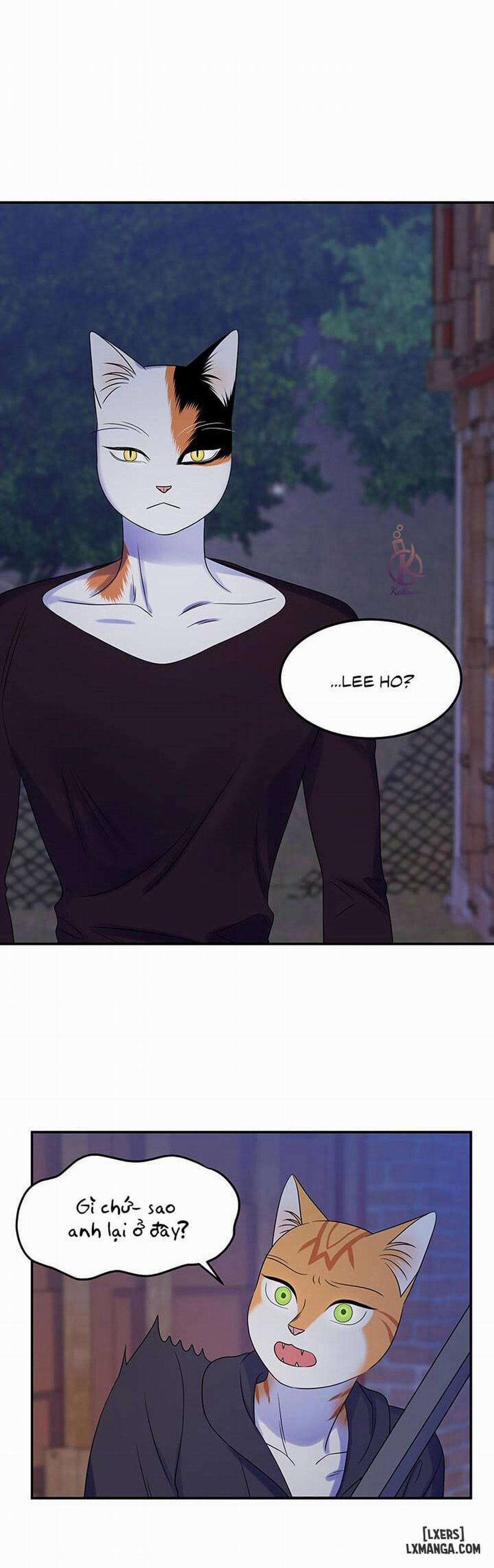 Dự án xanh 17 trang 11