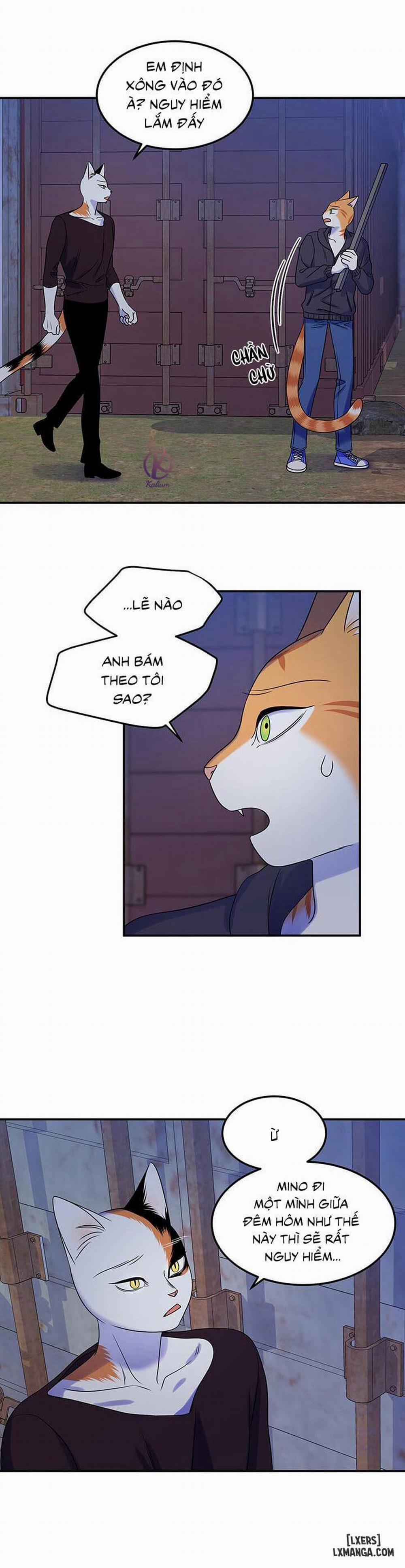 Dự án xanh 17 trang 12