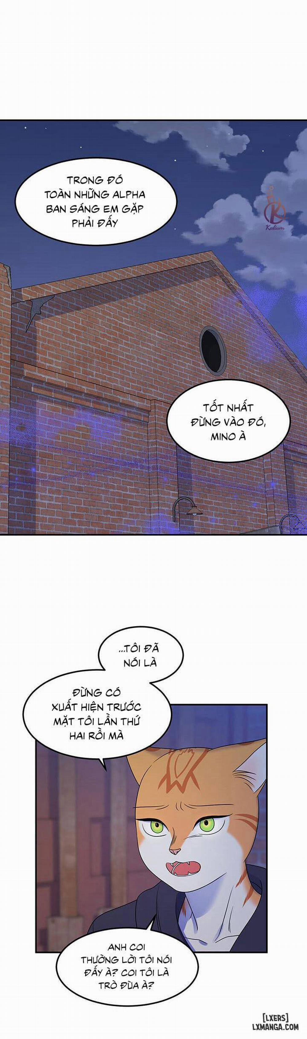 Dự án xanh 17 trang 13