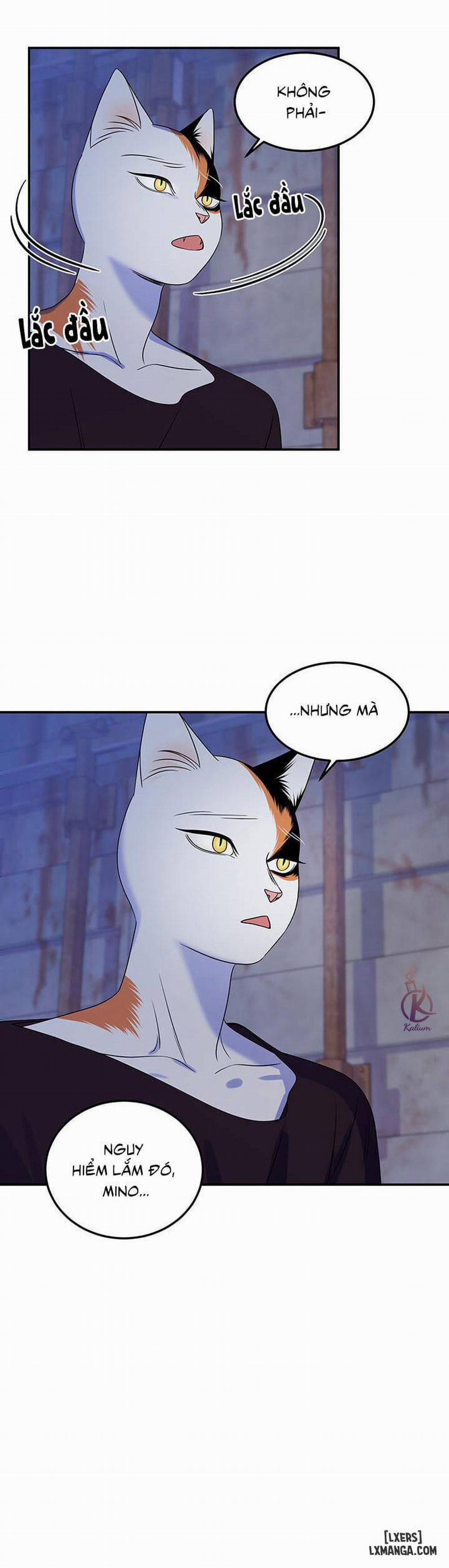 Dự án xanh 17 trang 14