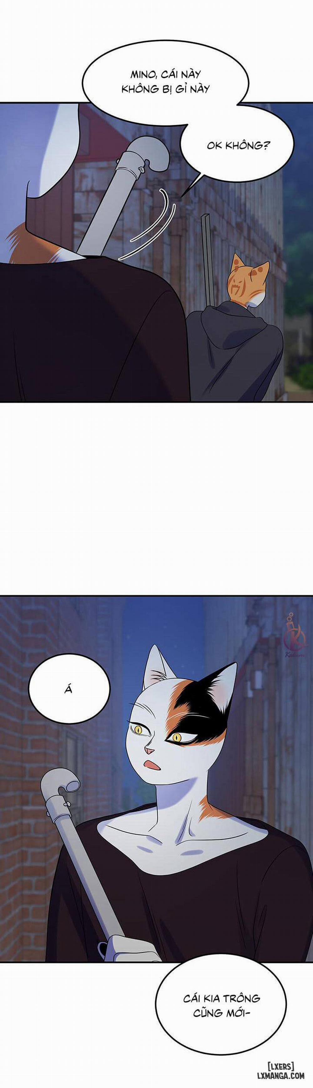 Dự án xanh 17 trang 17