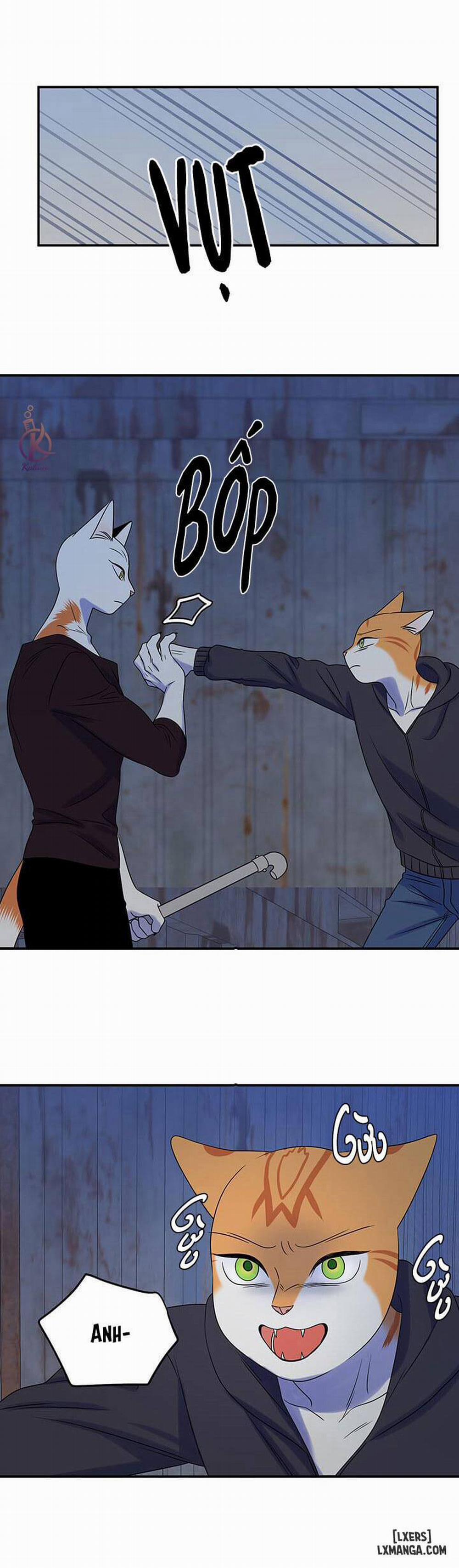 Dự án xanh 17 trang 18