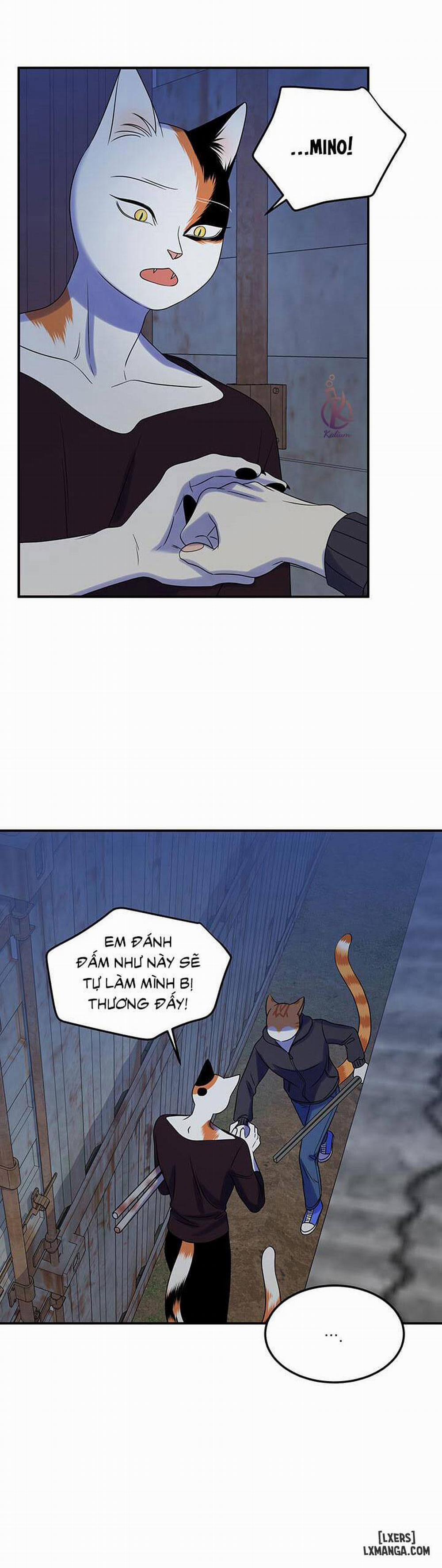 Dự án xanh 17 trang 19