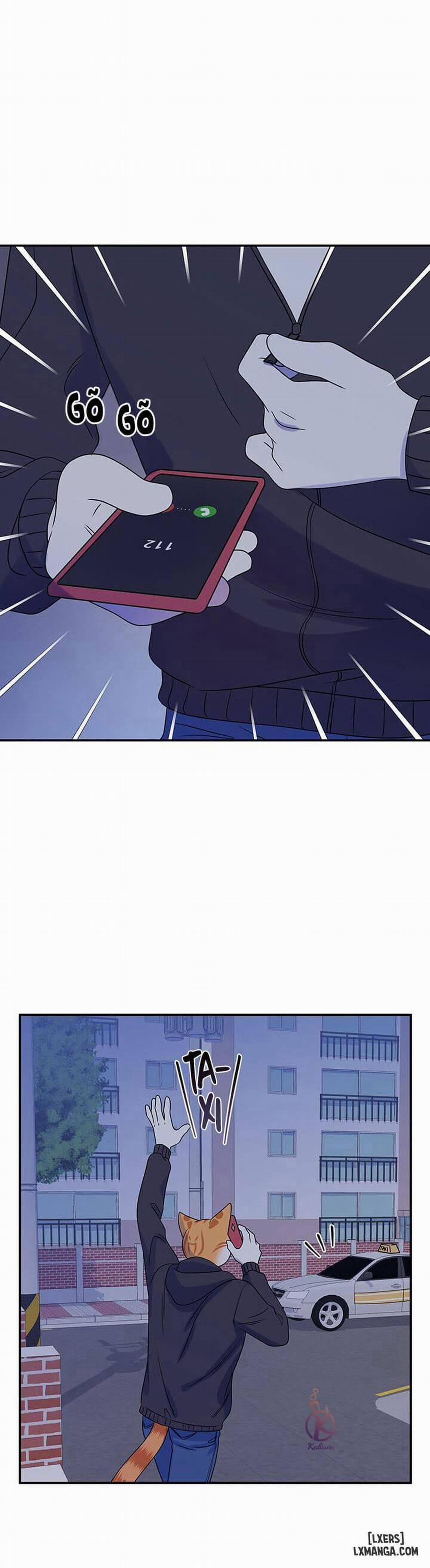 Dự án xanh 17 trang 2