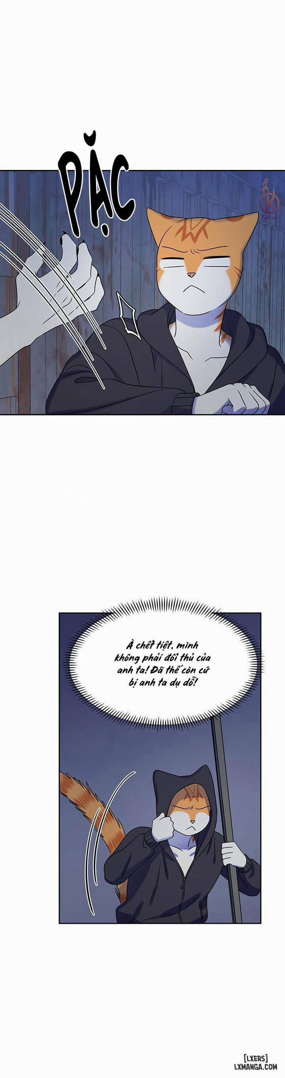 Dự án xanh 17 trang 20