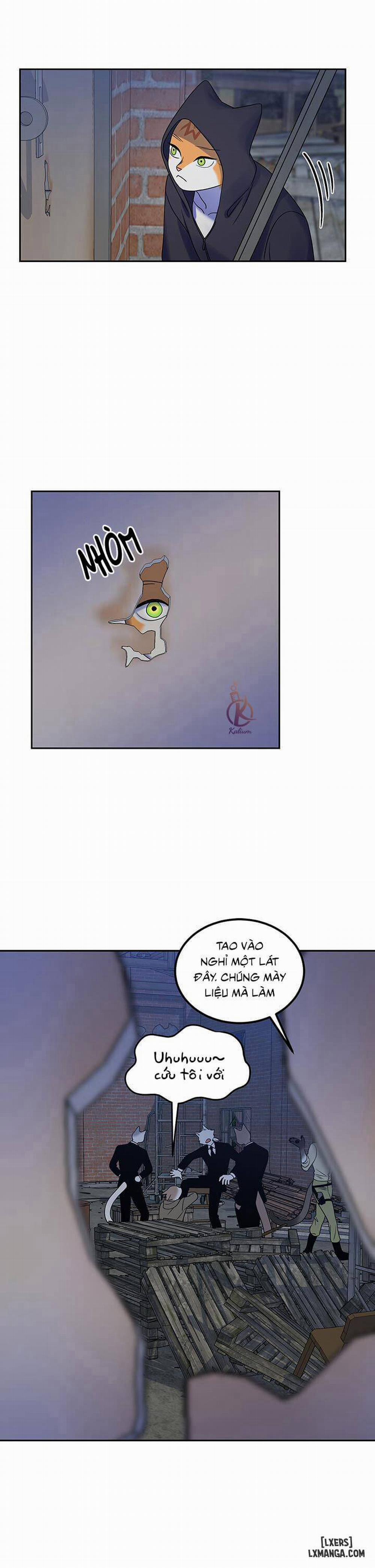 Dự án xanh 17 trang 22