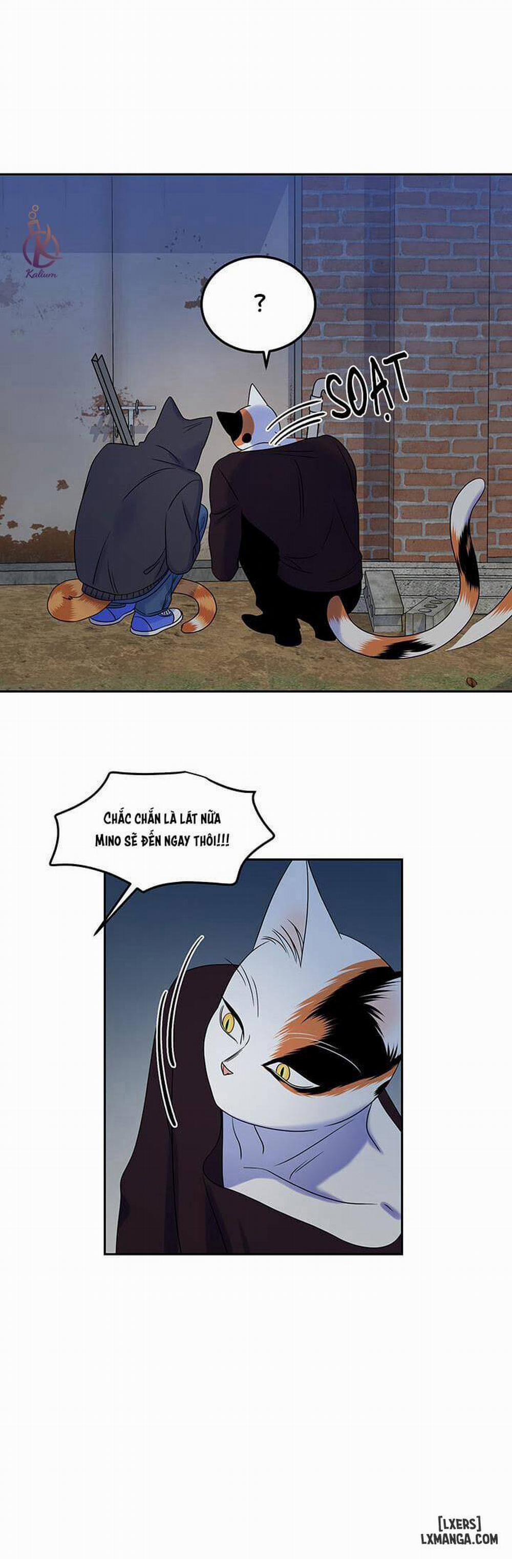 Dự án xanh 17 trang 23