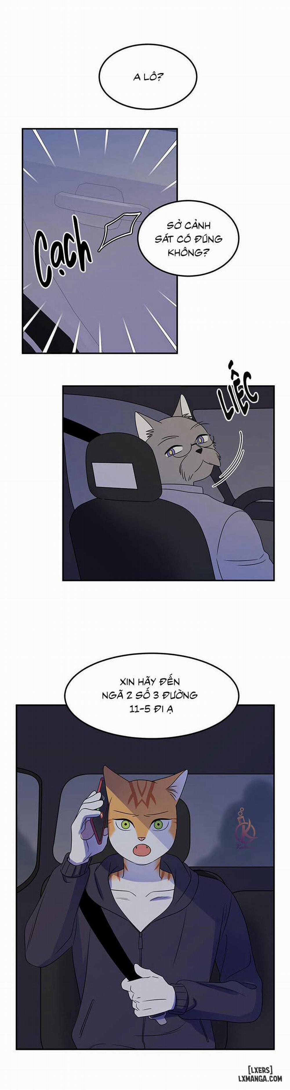 Dự án xanh 17 trang 3