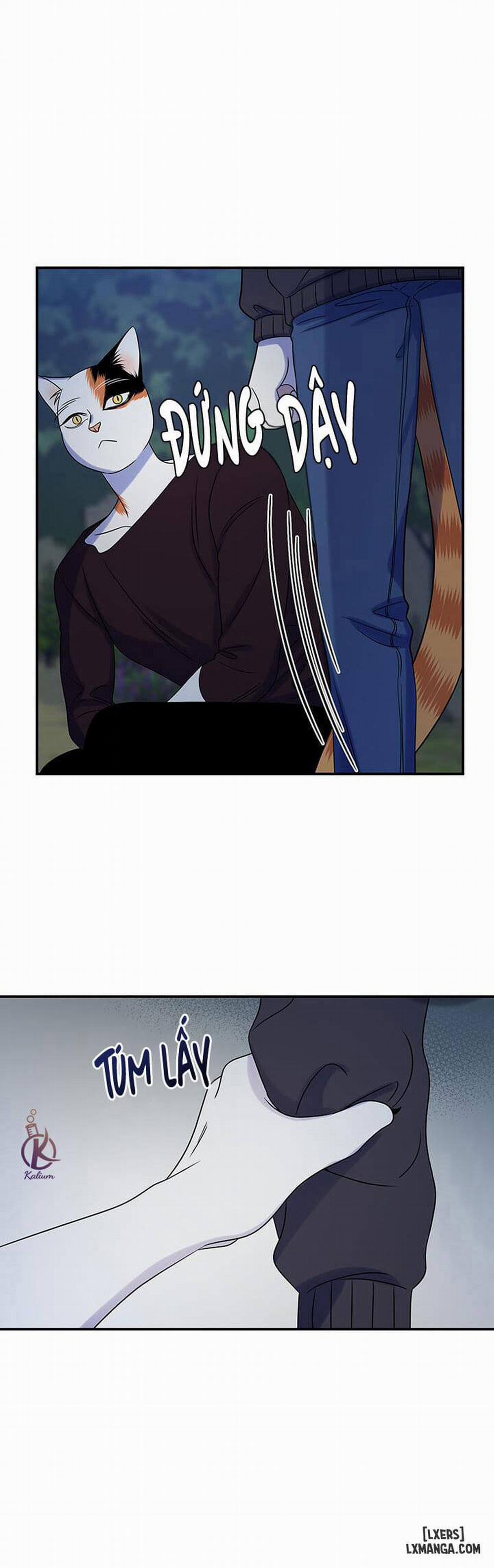 Dự án xanh 17 trang 30