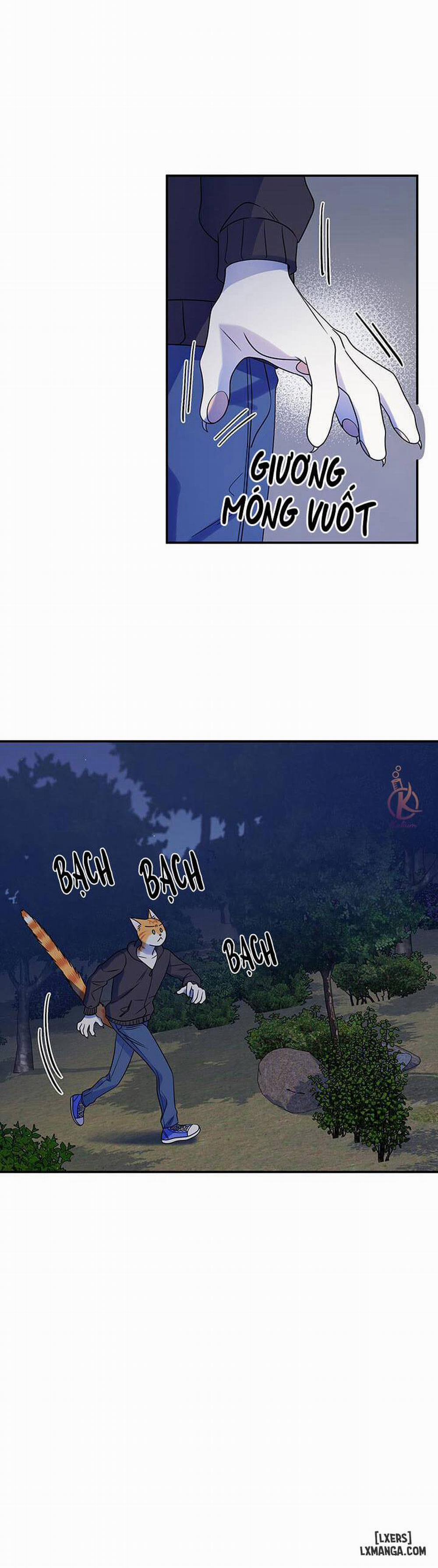 Dự án xanh 17 trang 7