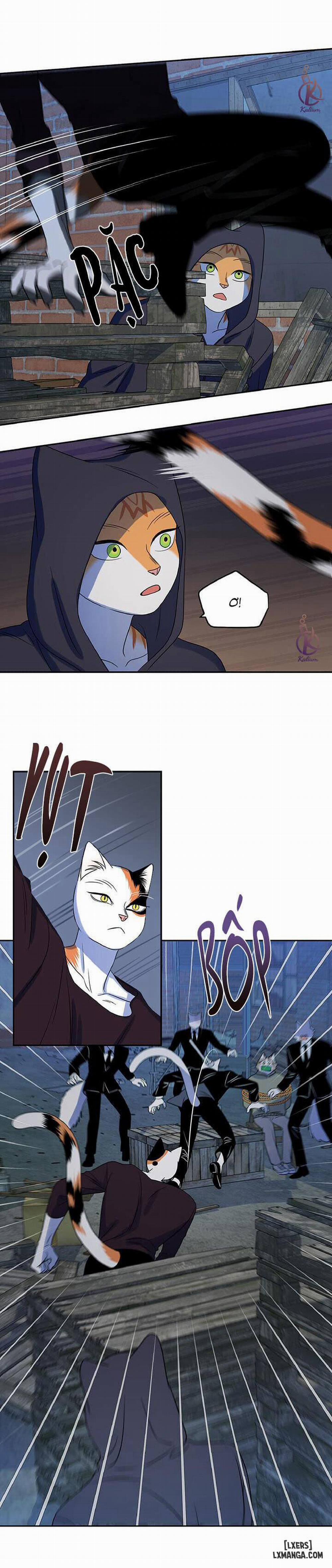 Dự án xanh 18 trang 11