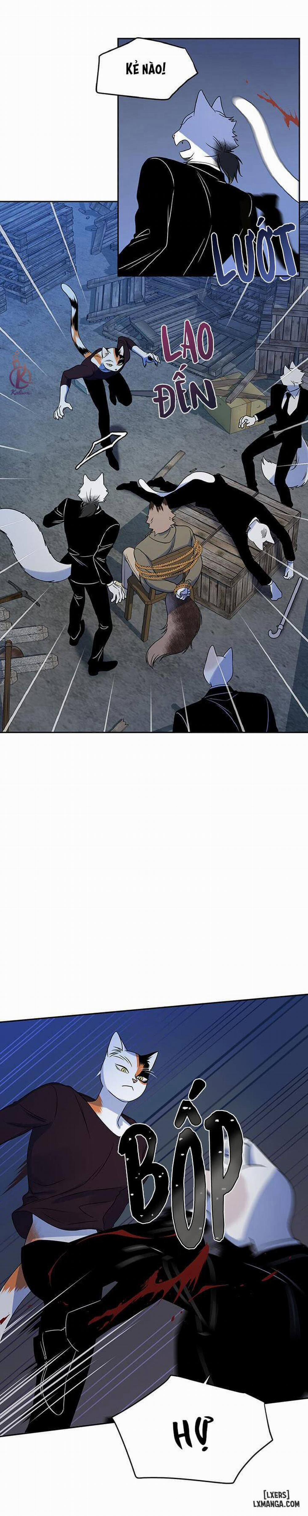 Dự án xanh 18 trang 12