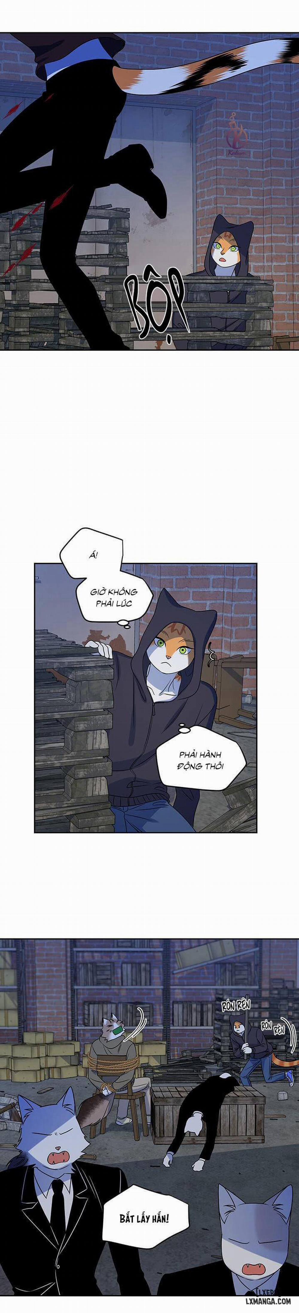 Dự án xanh 18 trang 13