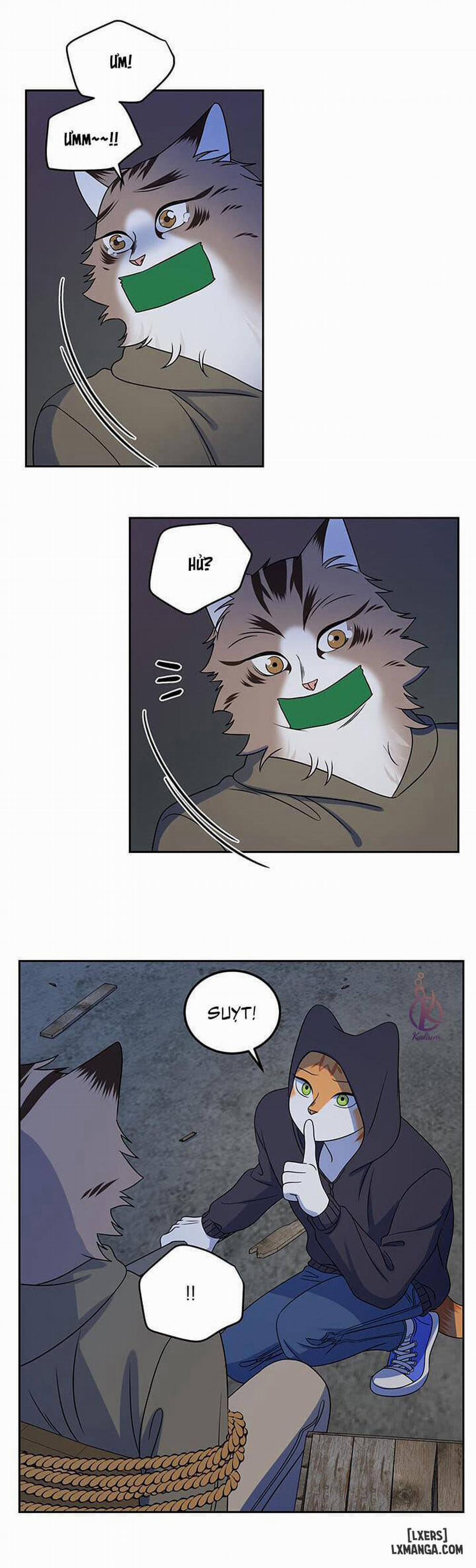 Dự án xanh 18 trang 14