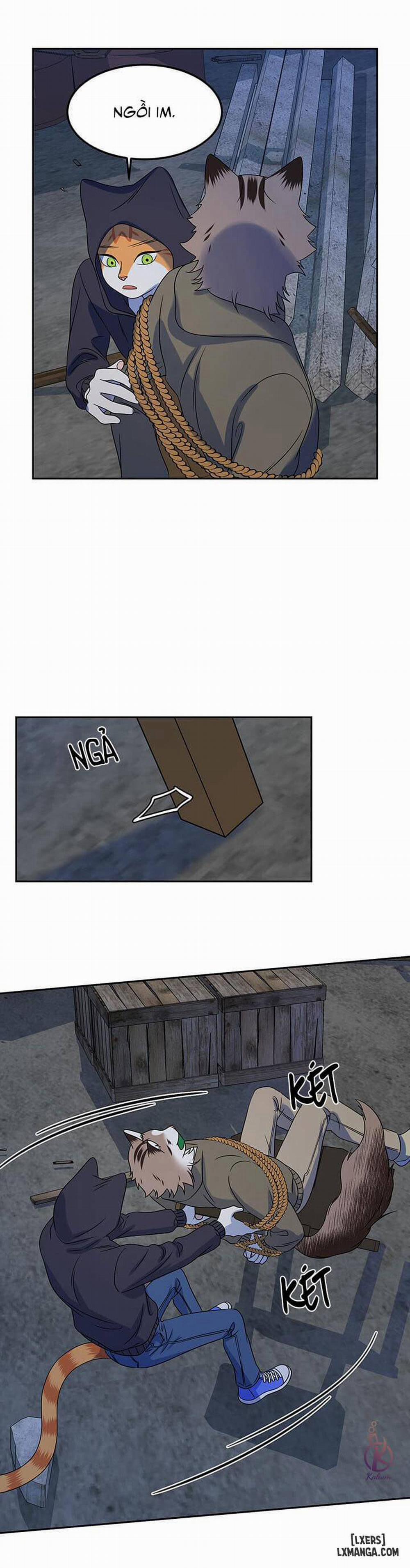 Dự án xanh 18 trang 15