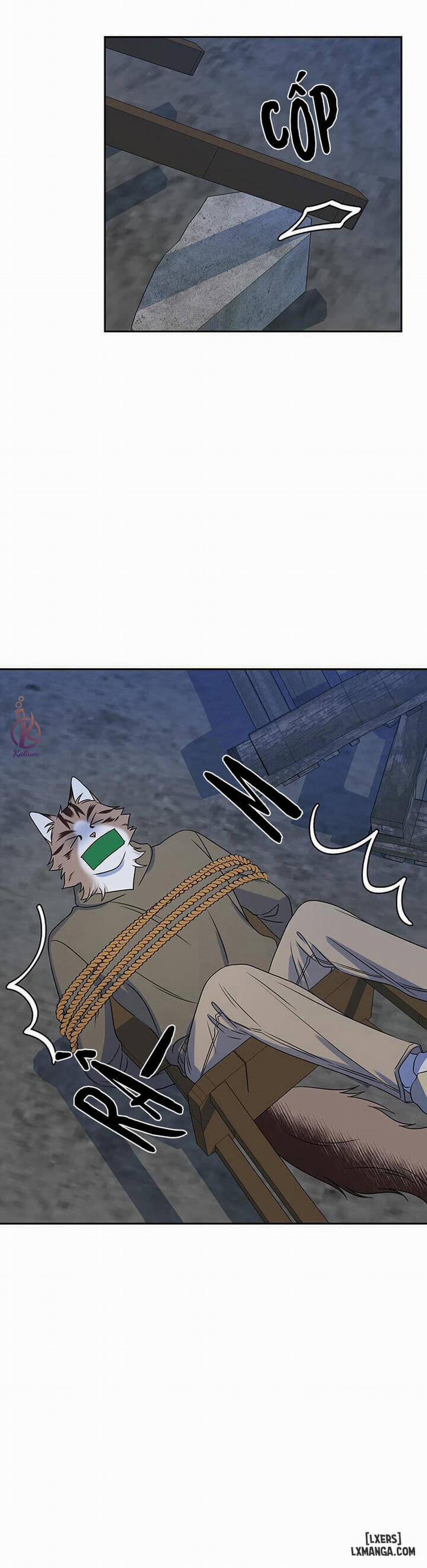 Dự án xanh 18 trang 16