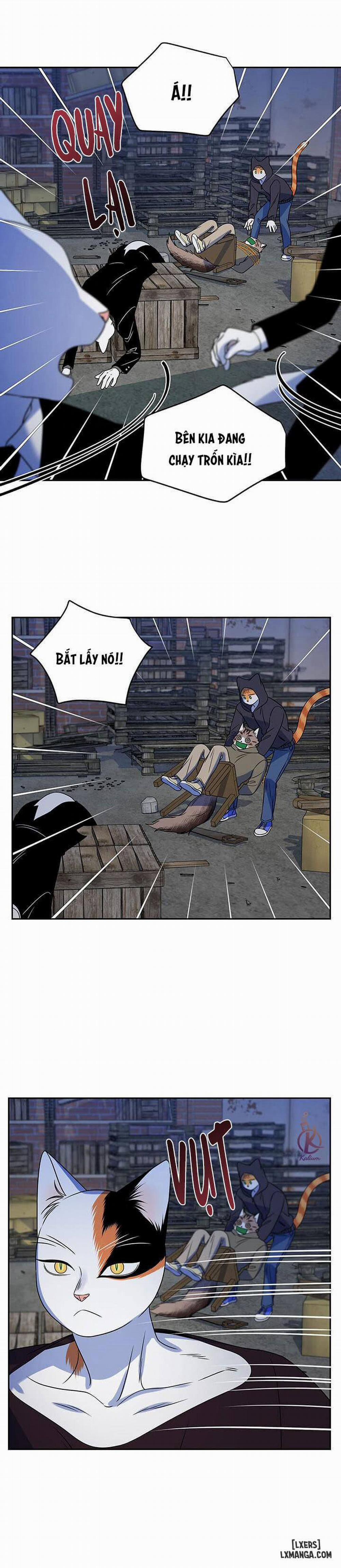 Dự án xanh 18 trang 17