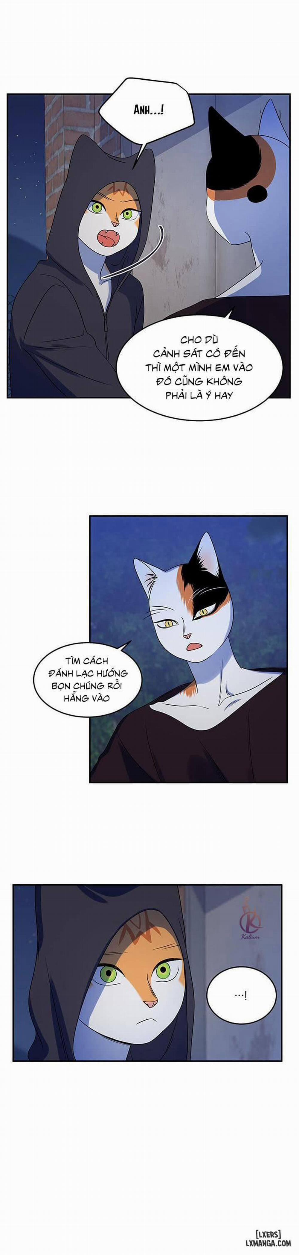 Dự án xanh 18 trang 2