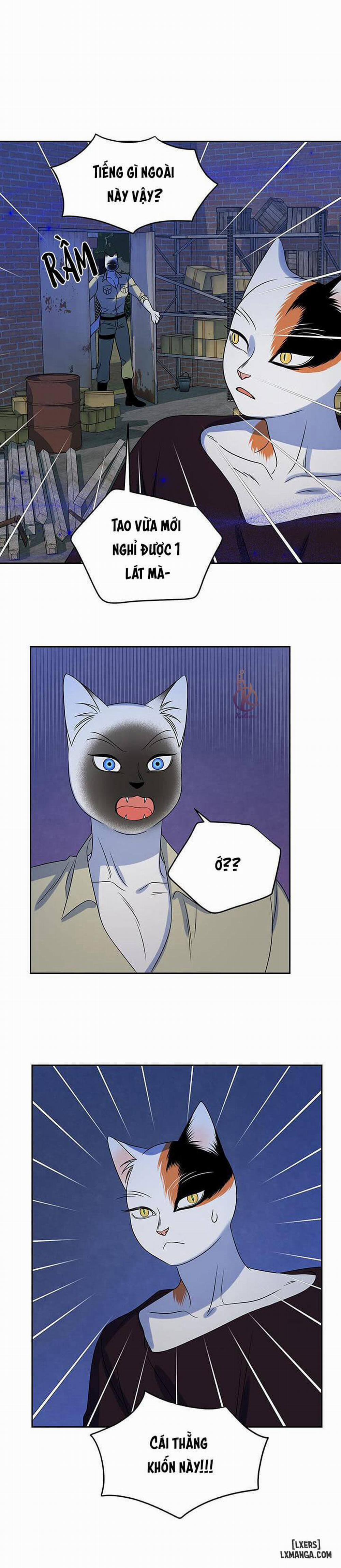 Dự án xanh 18 trang 20