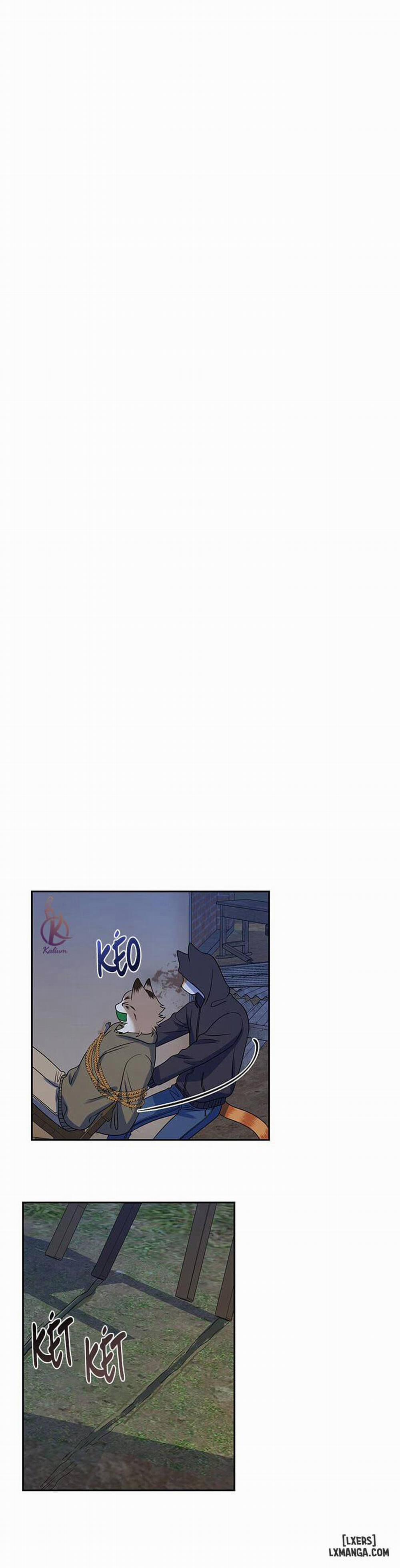 Dự án xanh 18 trang 21