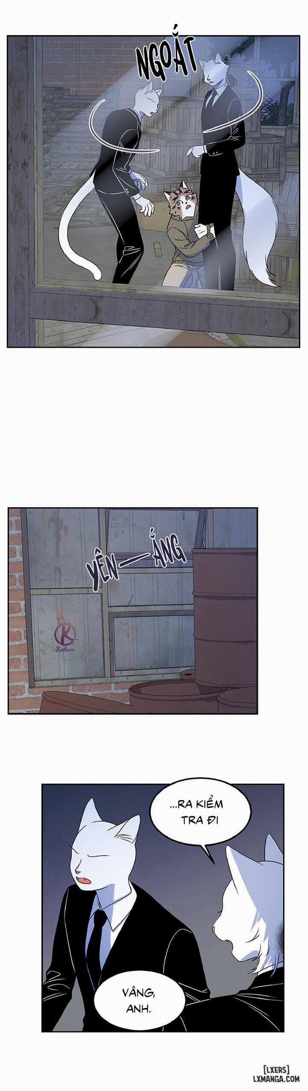 Dự án xanh 18 trang 5