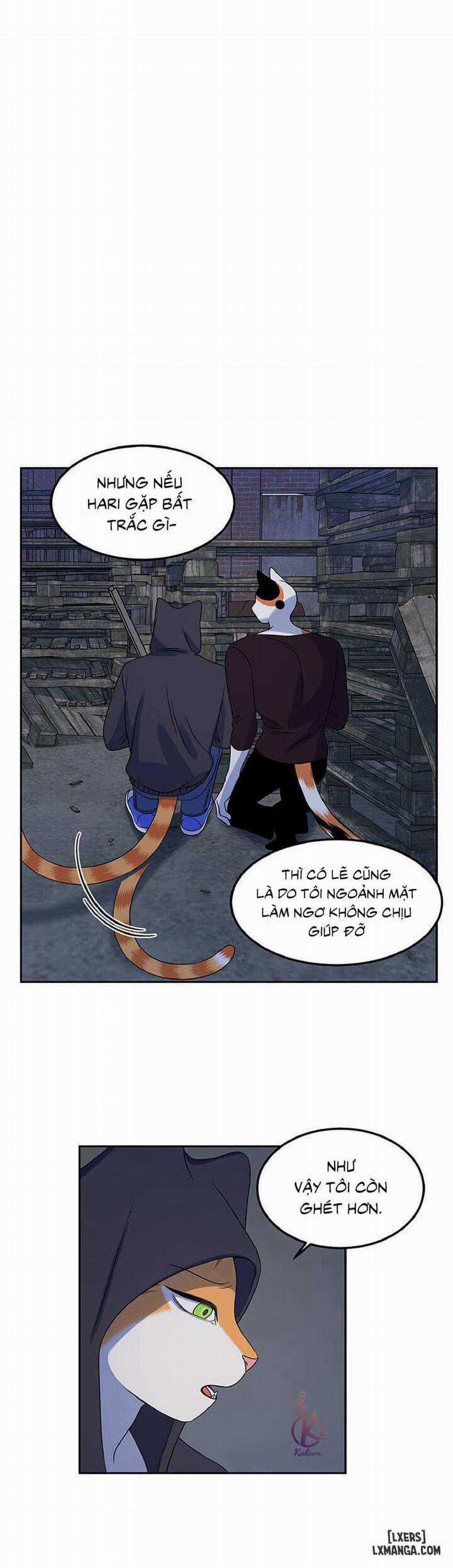 Dự án xanh 18 trang 8