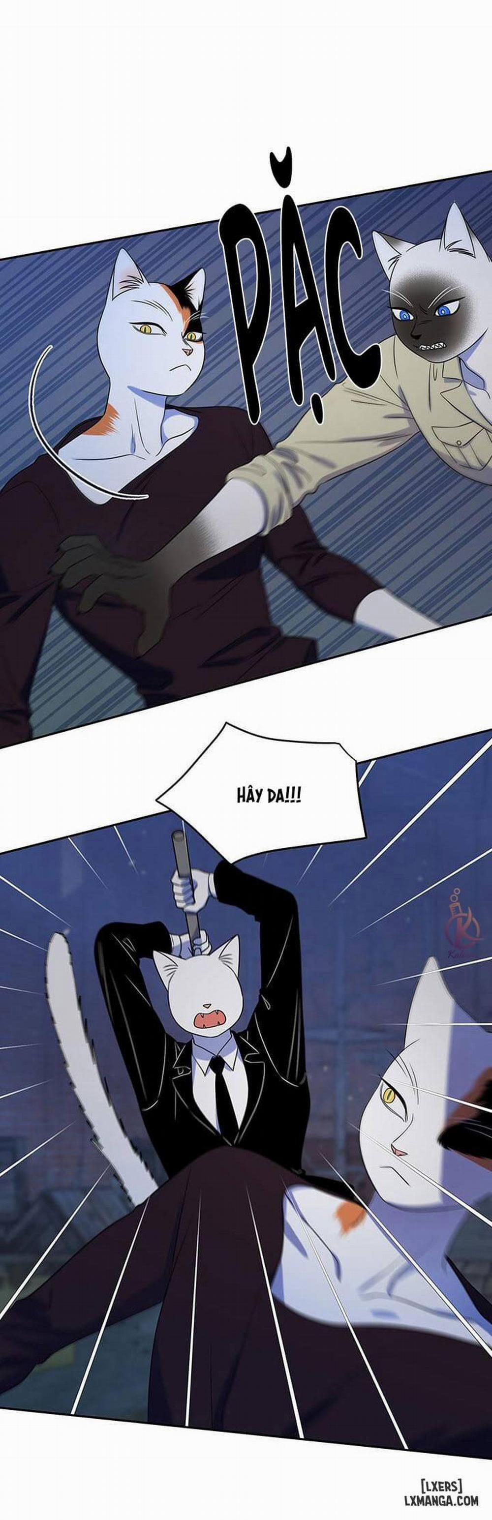 Dự án xanh 19 trang 1