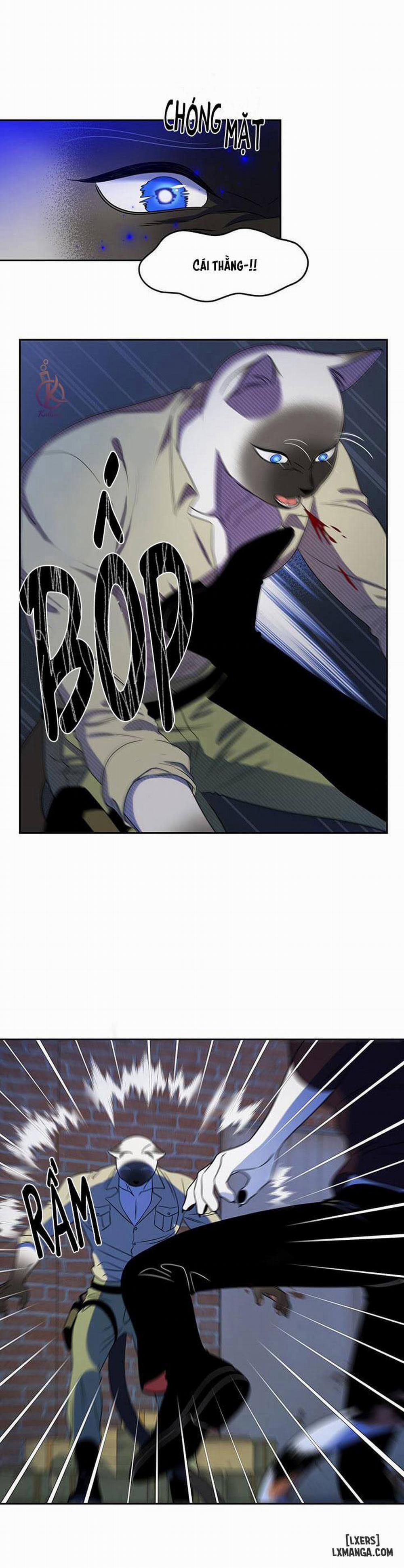 Dự án xanh 19 trang 10