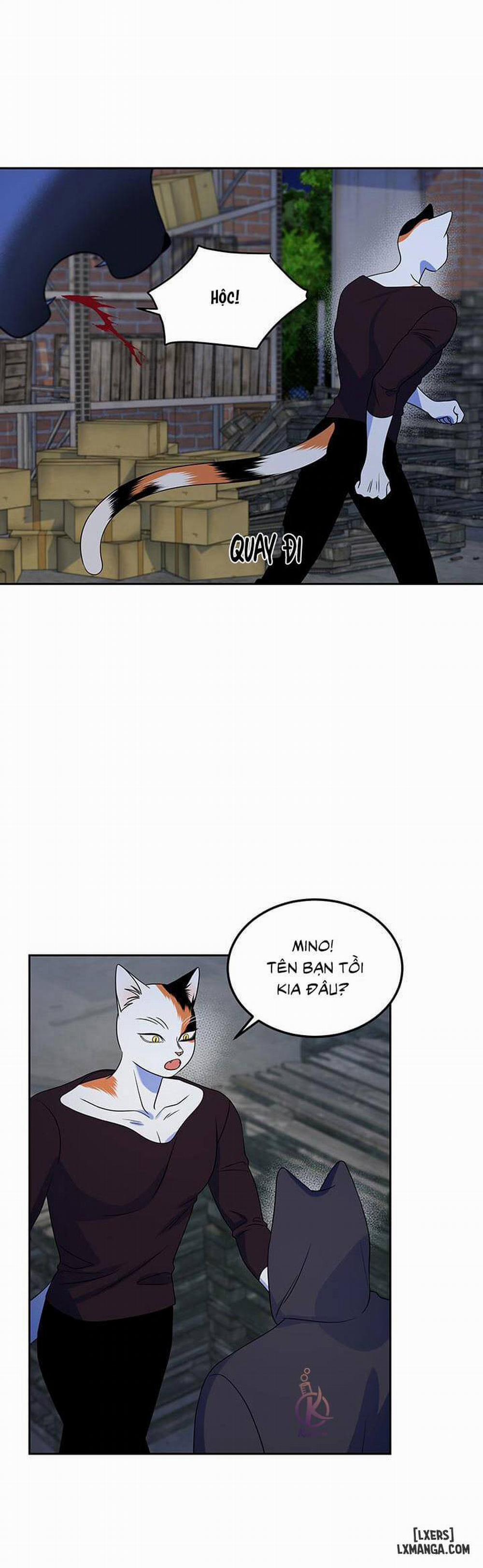 Dự án xanh 19 trang 11