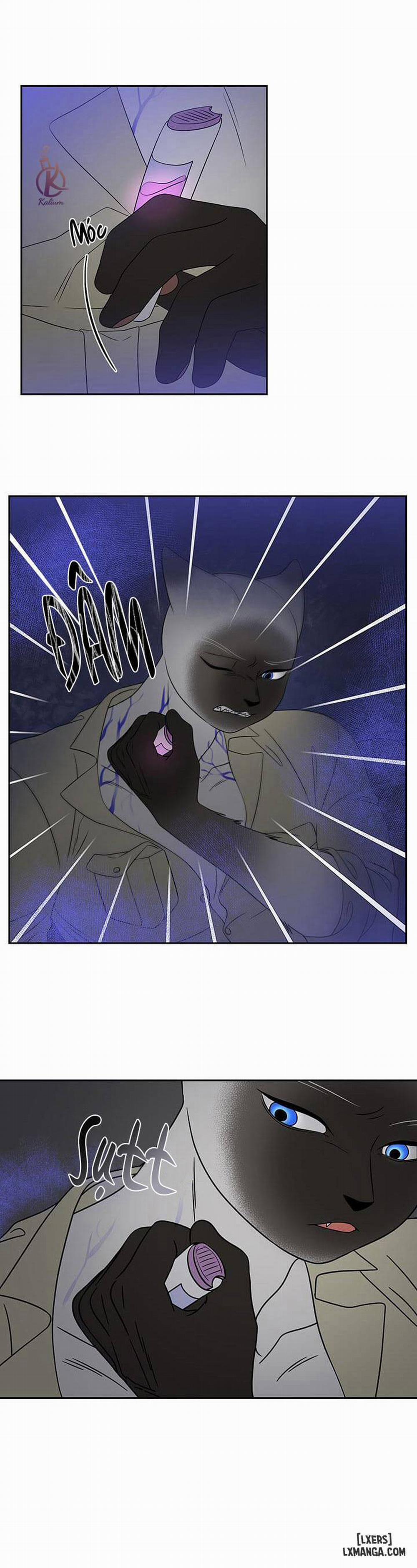 Dự án xanh 19 trang 15