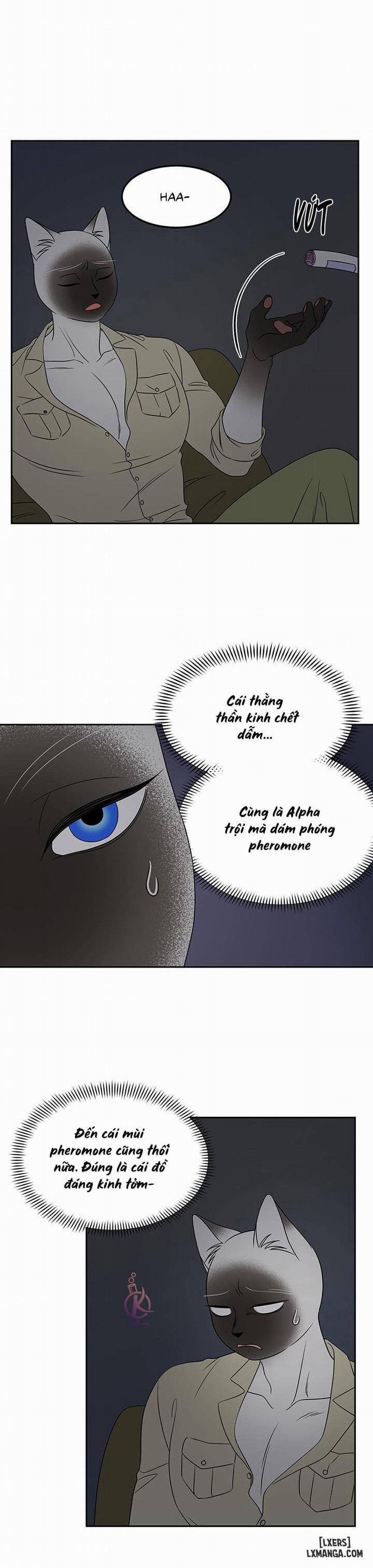 Dự án xanh 19 trang 16