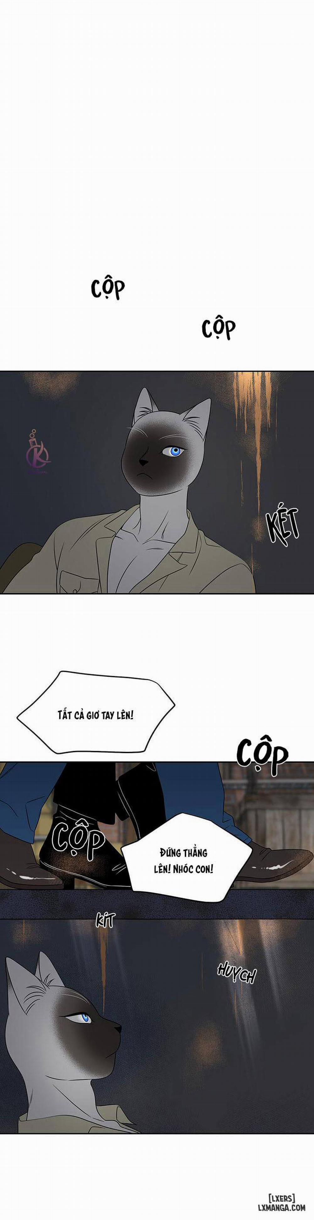 Dự án xanh 19 trang 17