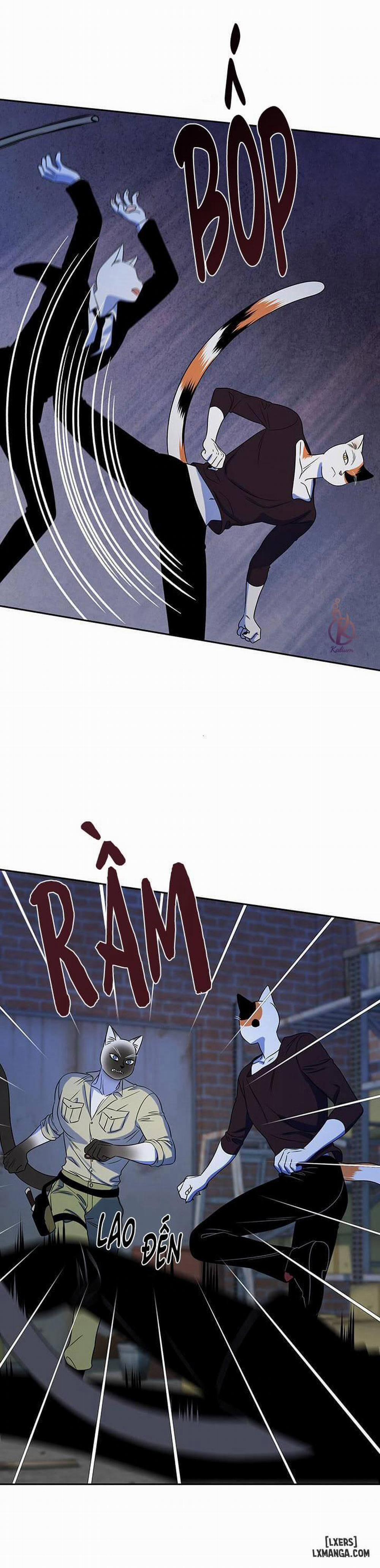 Dự án xanh 19 trang 2