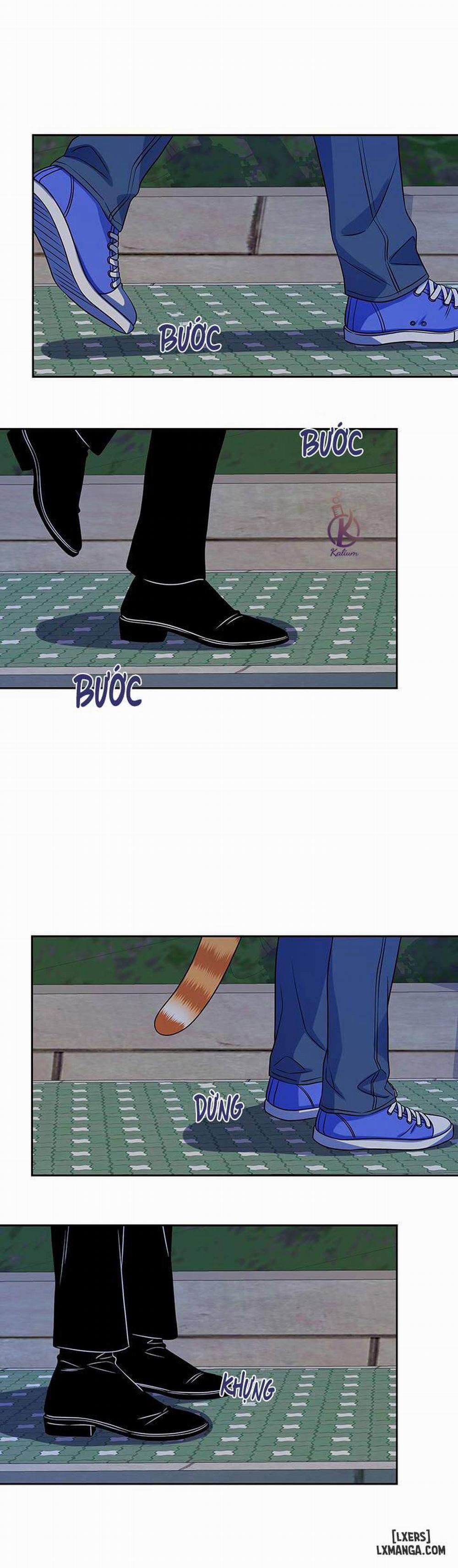 Dự án xanh 19 trang 21