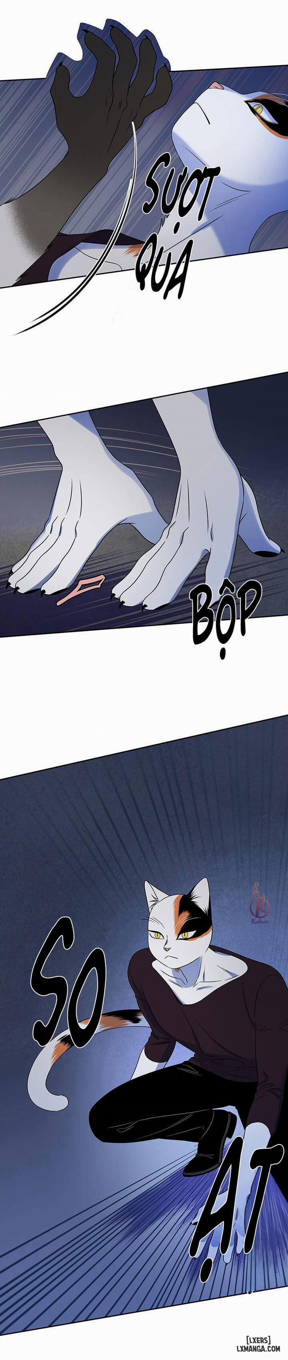 Dự án xanh 19 trang 3