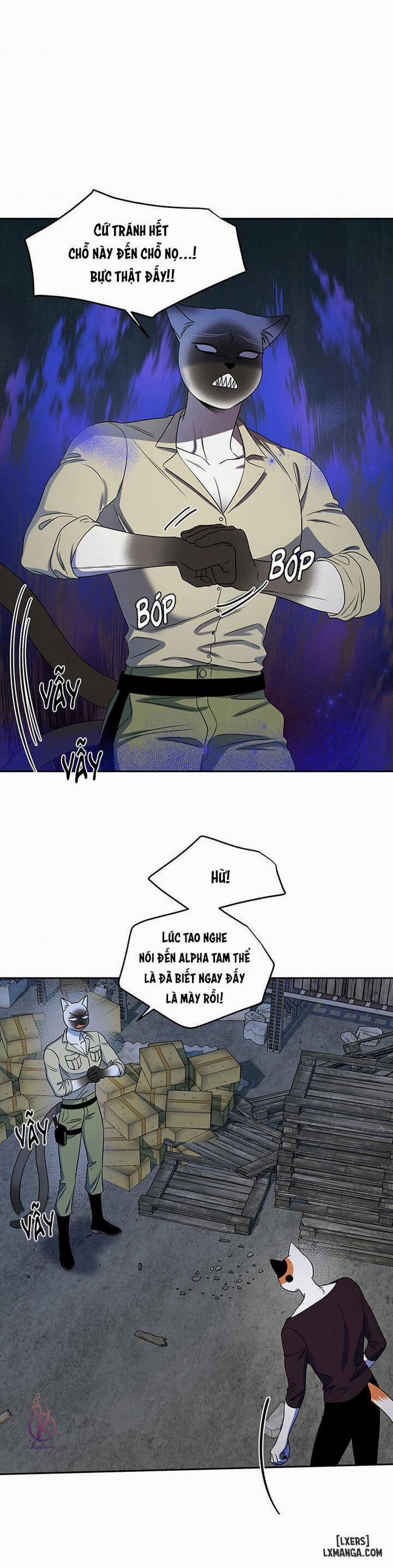 Dự án xanh 19 trang 4