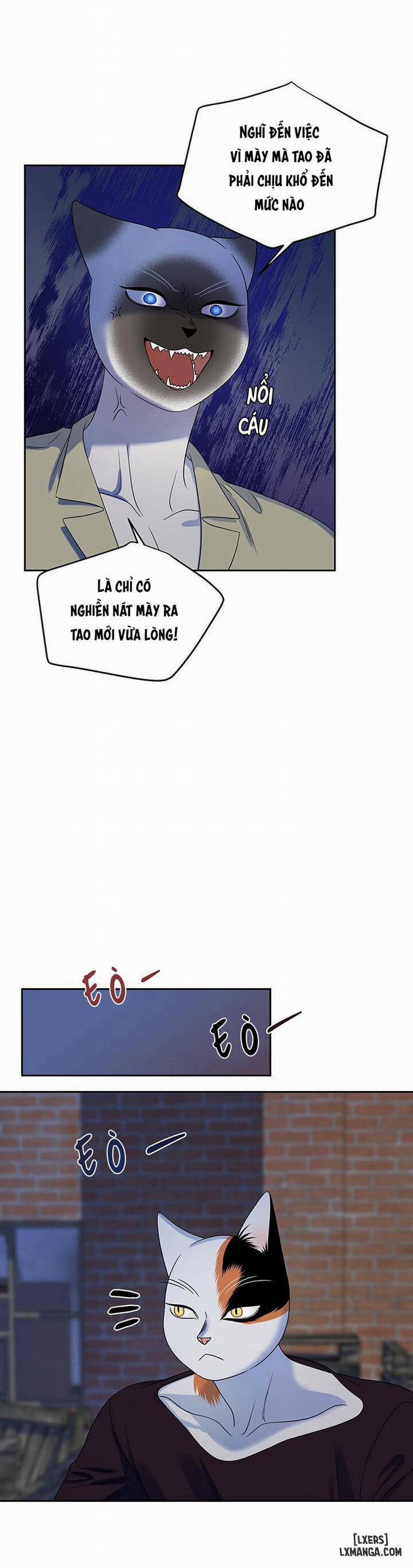 Dự án xanh 19 trang 5