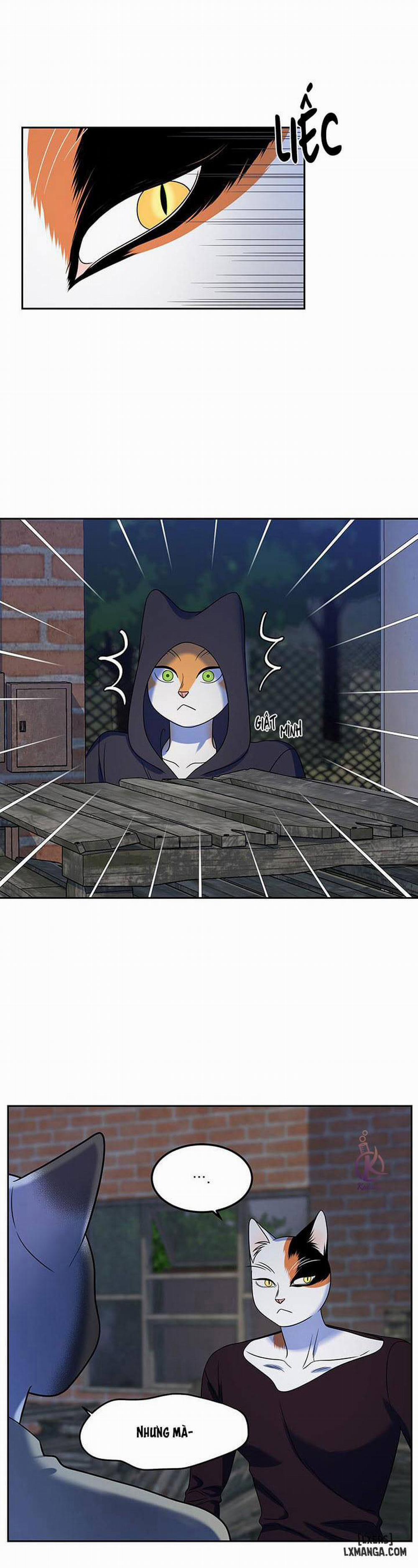 Dự án xanh 19 trang 6