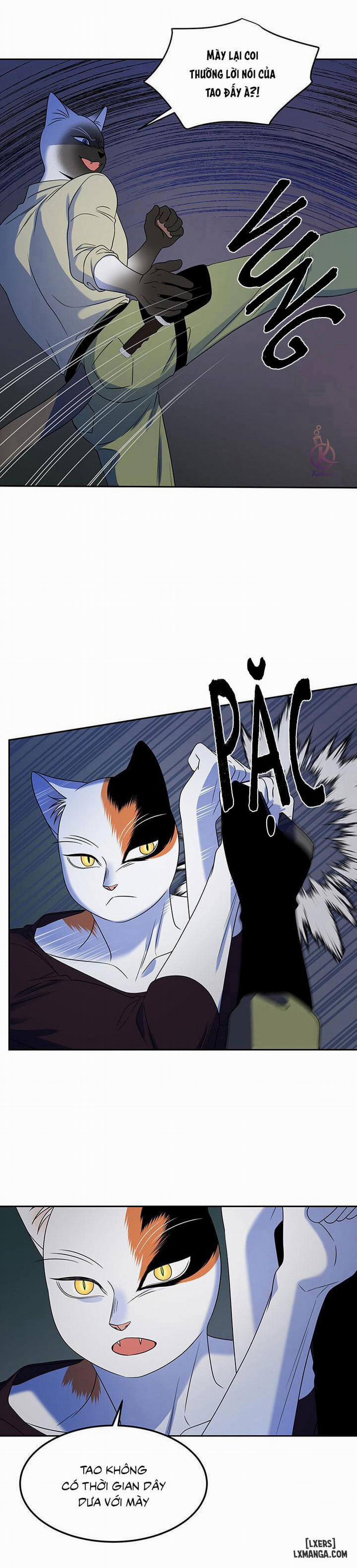 Dự án xanh 19 trang 7