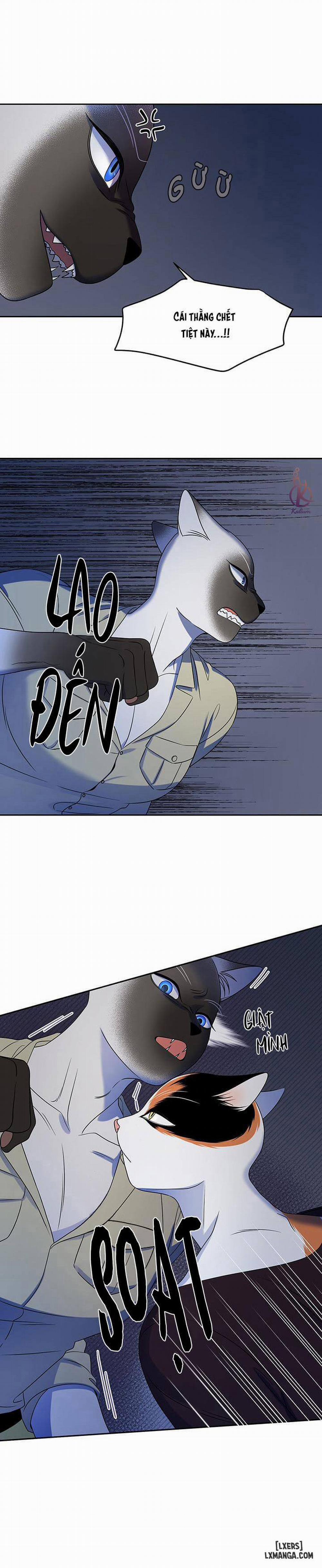 Dự án xanh 19 trang 8