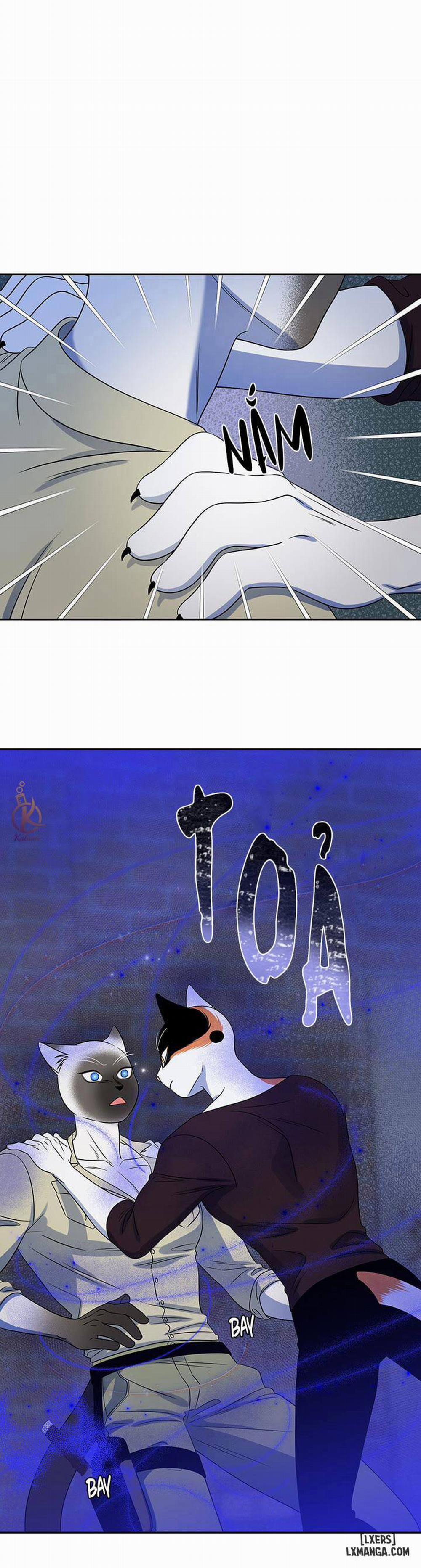 Dự án xanh 19 trang 9