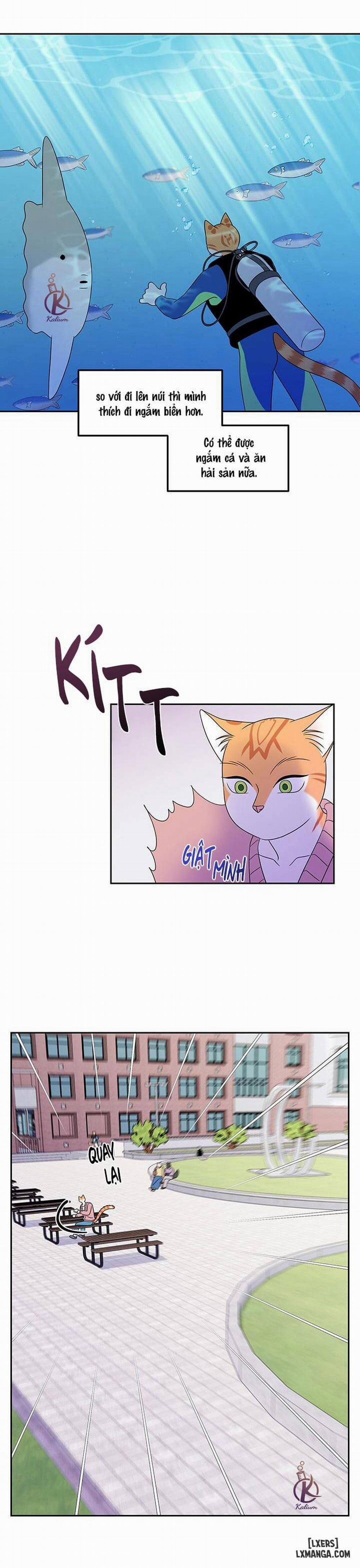 Dự án xanh 20 trang 11