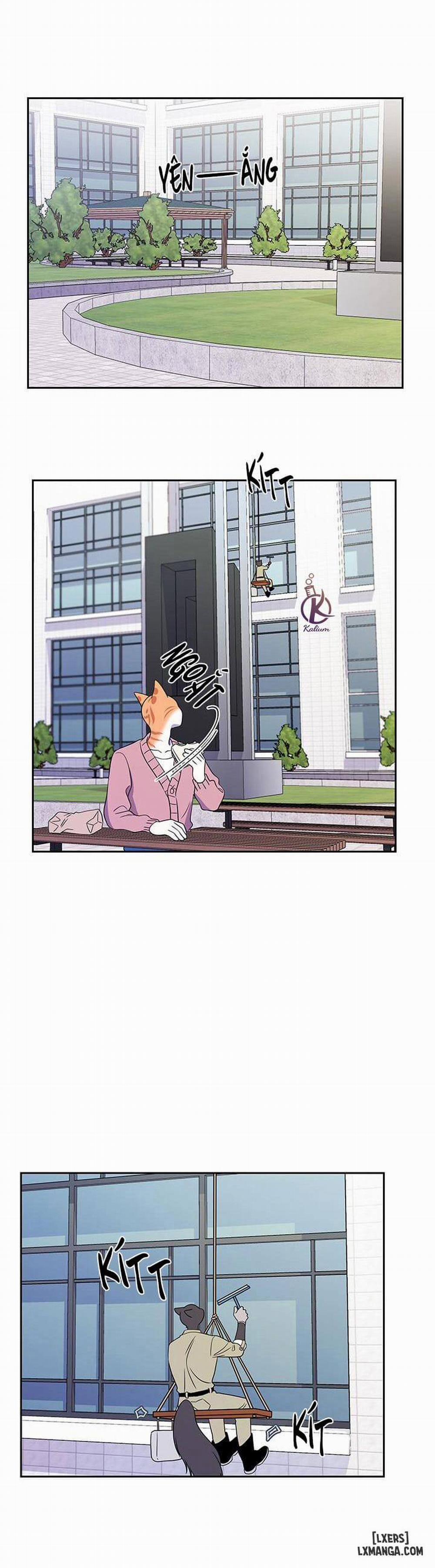 Dự án xanh 20 trang 12